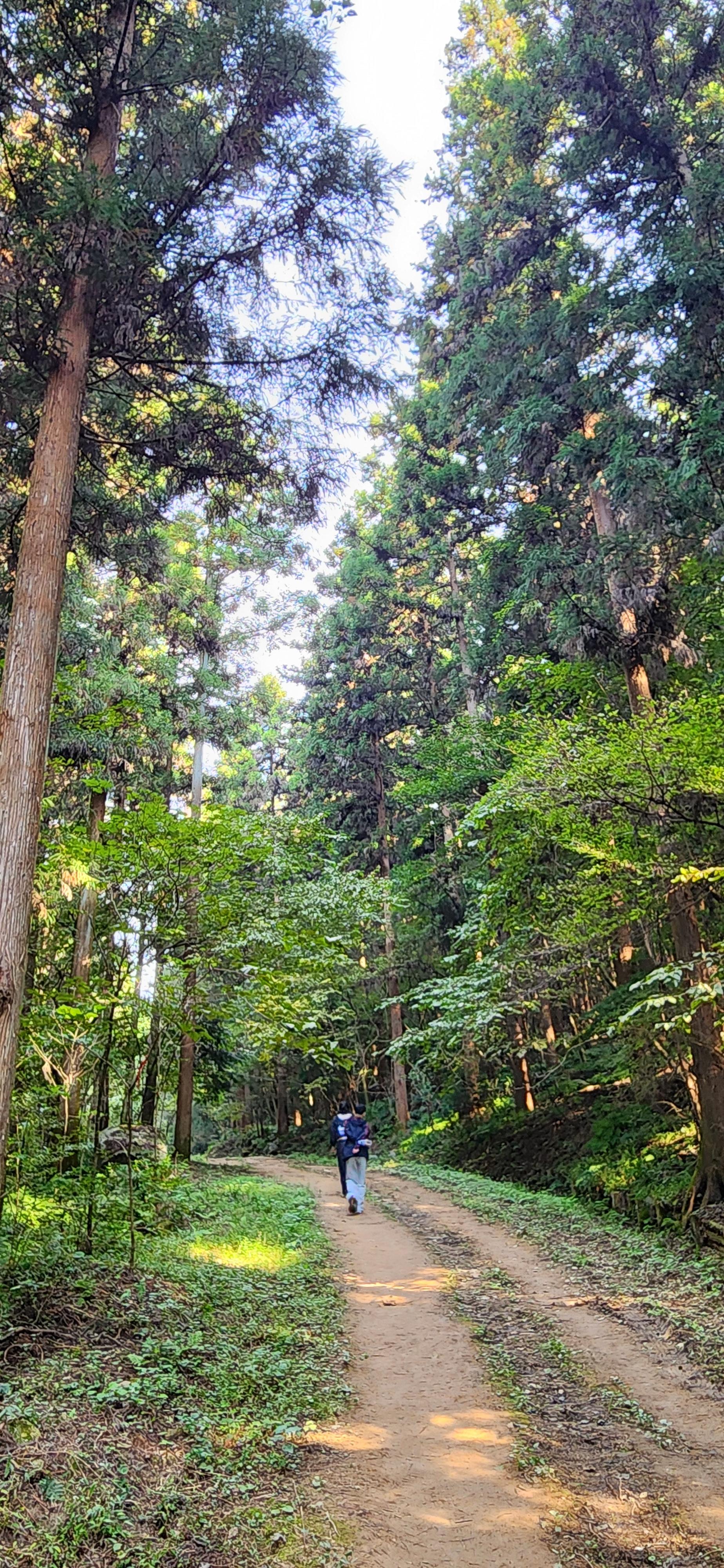깔딱고개를 오르는 와이프와 막내의 뒷모습