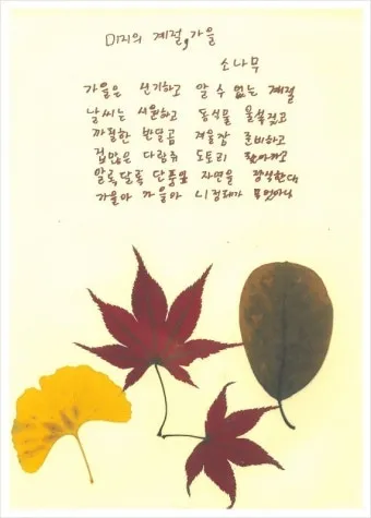 가을 시 모음 5편 추천 선별_22