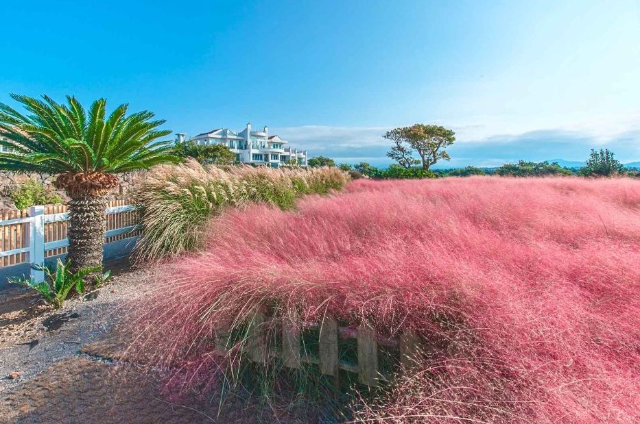 24년 11월 전국 가을축제