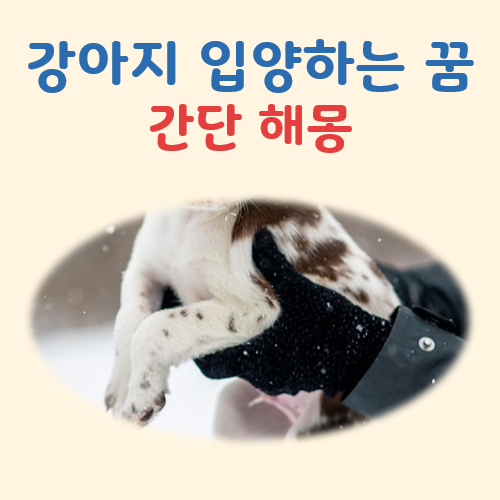 강아지 입양하는 꿈 해몽 대표 이미지