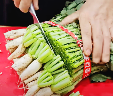 뿌리다듬기