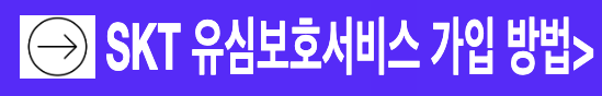 SK텔레콤 유심보호서비스 가입 신청 방법 SKT 유심 해킹 보호