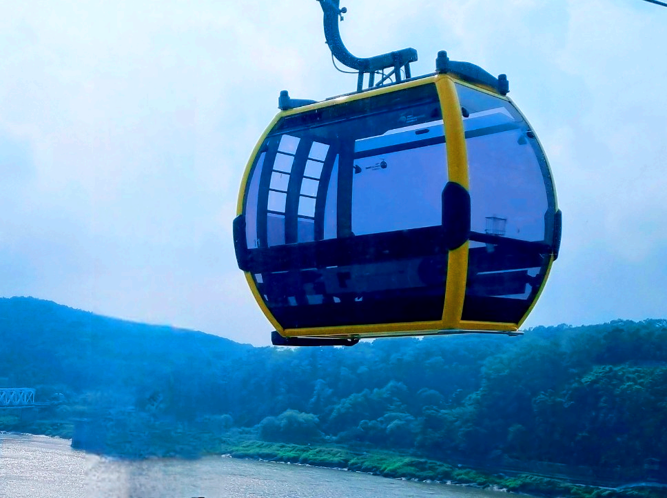 팔방미인 파주 문지리 535 카페 매력 포인트: 드넓은 논밭 뷰와 초록을 담은 실내 식물원 