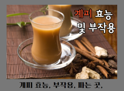계피 효능 11가지와 부작용 및 꼭 알아야 할 주의사항