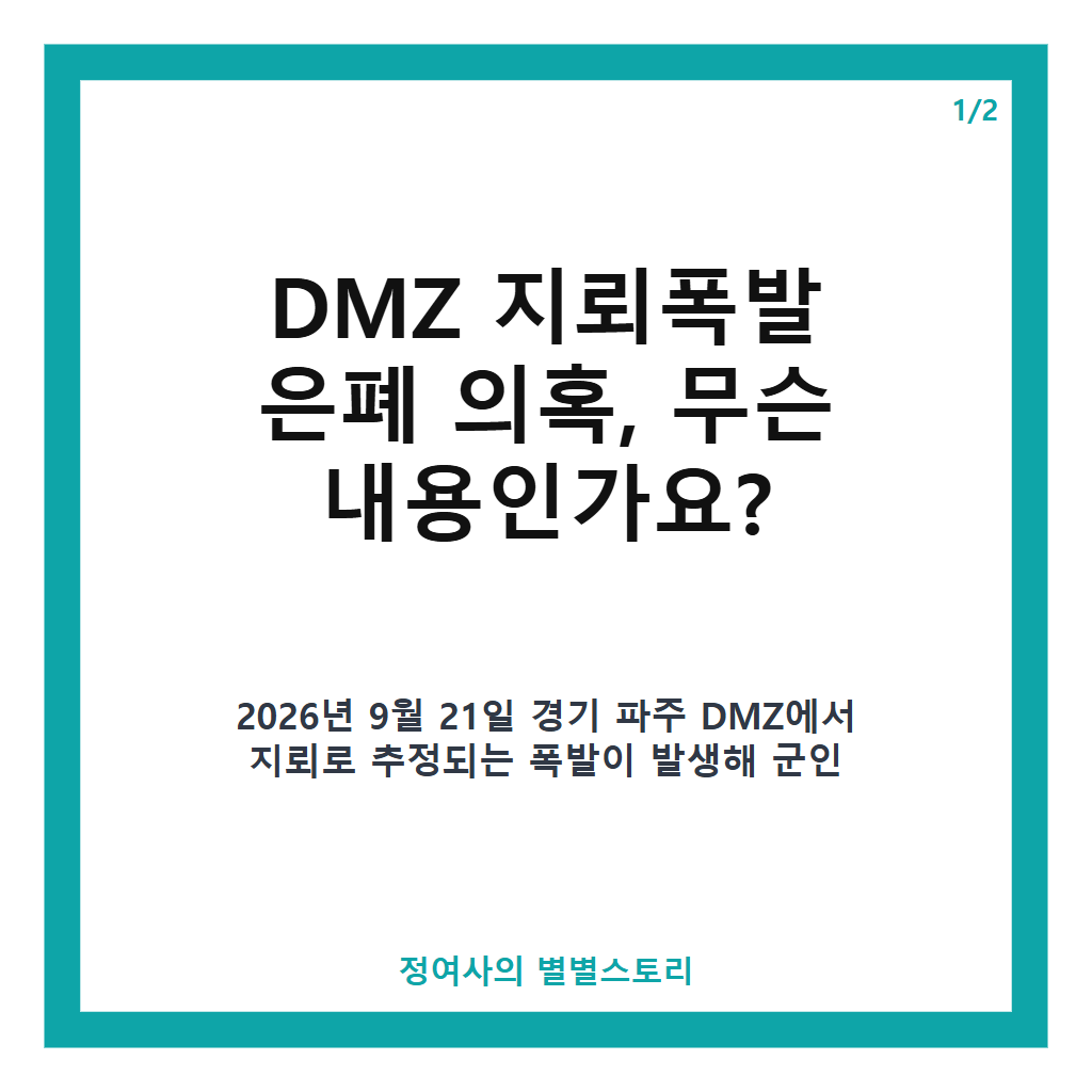 DMZ 지뢰폭발 은폐 의혹에 대한 청와대 입장과 조사 진행 상황 정리 카드뉴스 1