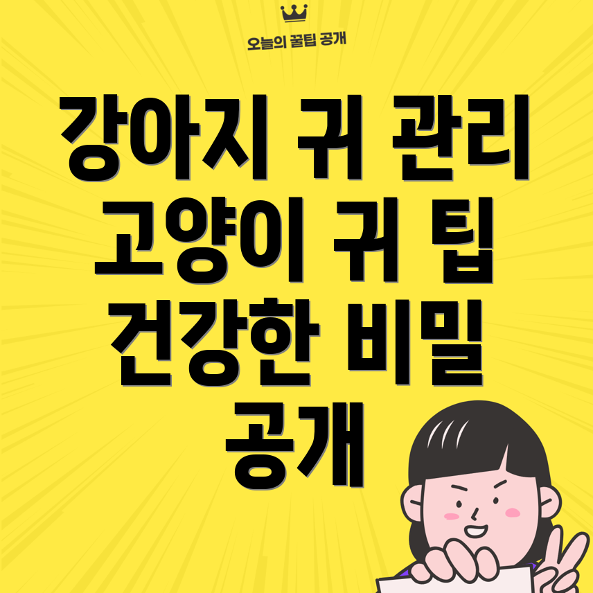 강아지 귀 관리