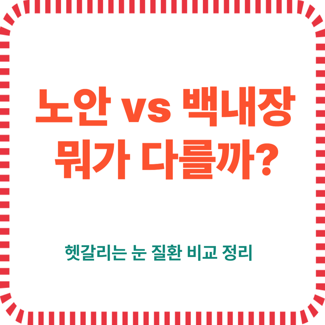 "노안 vs 백내장 뭐가다를까?"