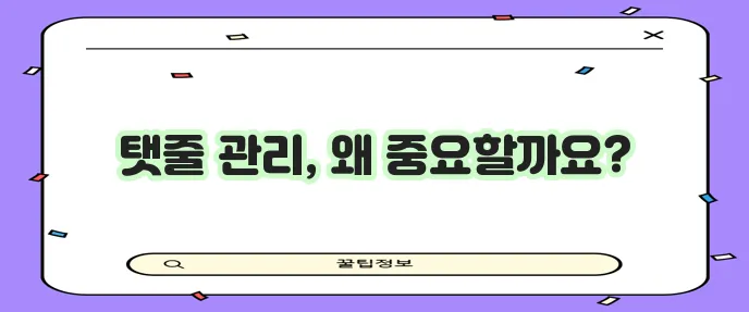 강아지 탯줄 관리 과정 제거 방법과 관리가 중요합니다
