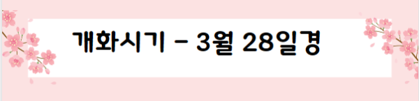봄꽃 여행지