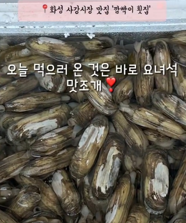 화성-제부도-사강시장-맛조개-맛찌개-깜빡이횟집