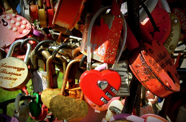 영화 서약 관련 사진