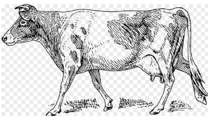 2026년 소띠 신년운세 무료보기