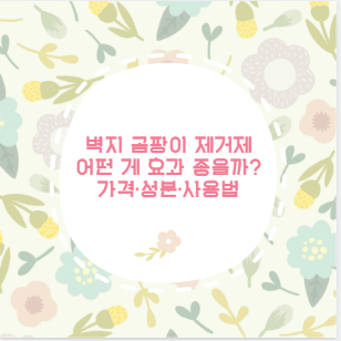 벽지 곰팡이 제거제 어떤 게 효과 좋을까? 가격·성분·사용법