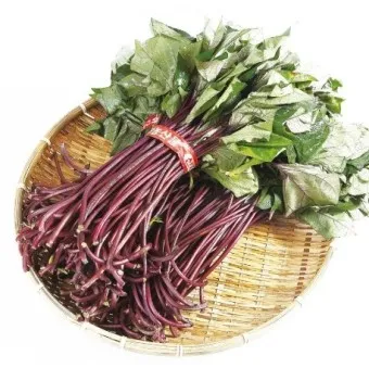 고구마순 볶음 레시피 꿀팁 레시피_16