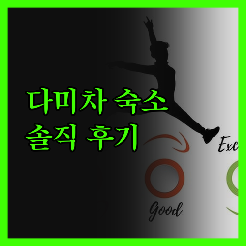 다미차 부티크 로지 실제 방문객 후기