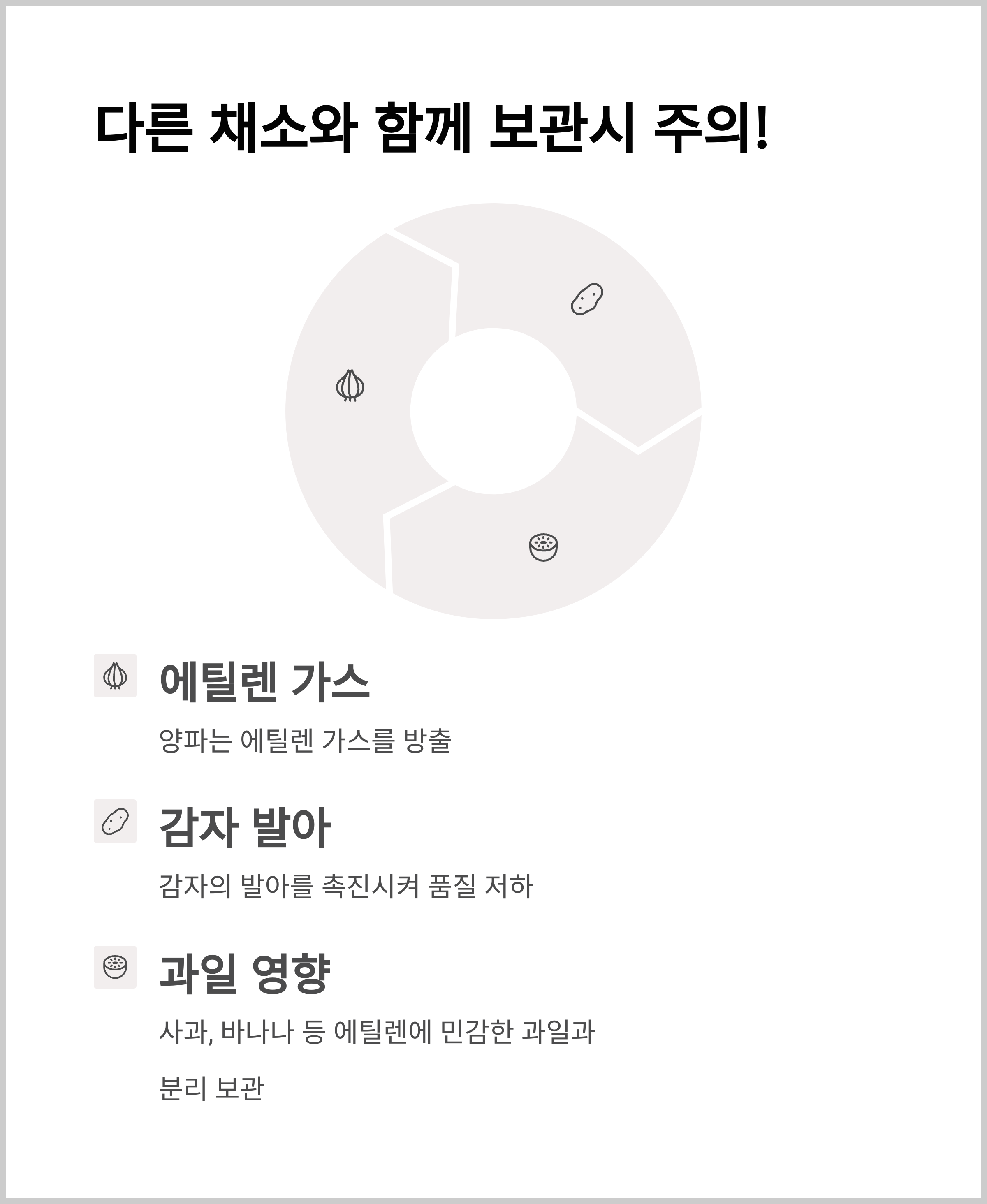 양파 다른 채소들과 함께 두면 생기는일