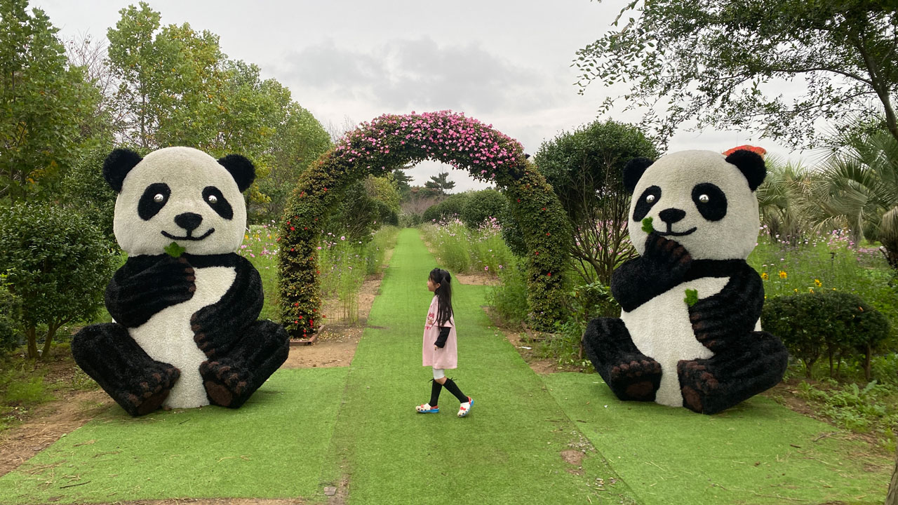 태안 가을꽃박람회에서 팬더 토피어리를 배경으로 아이가 사진을 찍고 있다.