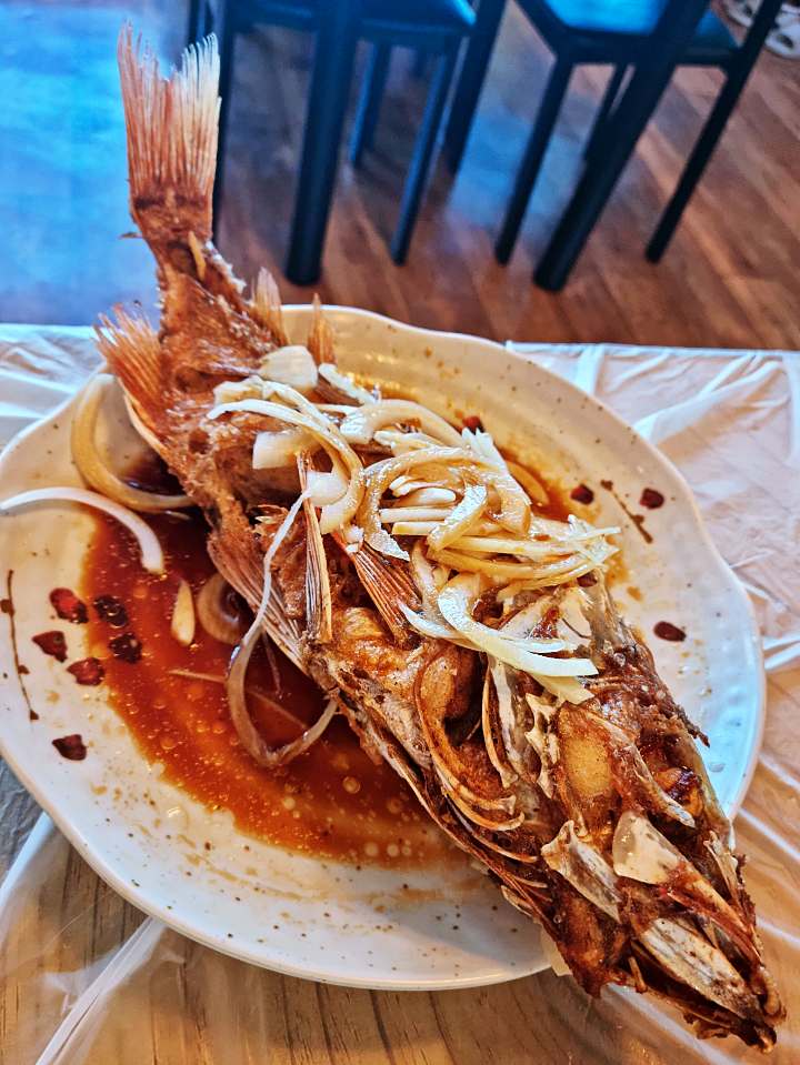 보령 대천해수욕장 맛집 추천 생방송투데이 꼼치맑은탕 꼼치매운탕 주꾸미 볶음 굴찜 해물 특산물 한상 오늘방송 보고 먹고 즐기고 3GO