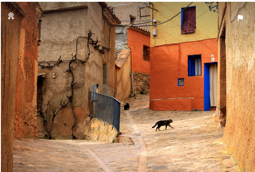 빈집 증가는 지역 소상공인 경제에 어떤 영향을 줄까? 관련 사진