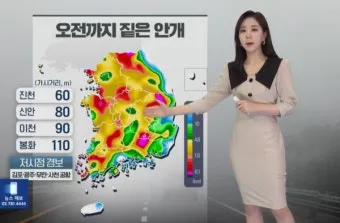 안개 주의 가시거리 운전 속도 헤드라이트 사용법_8