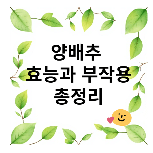 양배추 효능과 부작용