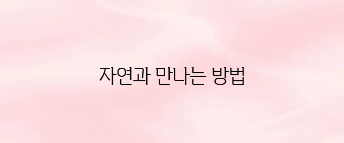 국립공원관리공단 예약통합시스템 (https://reservation.knps.or.kr)