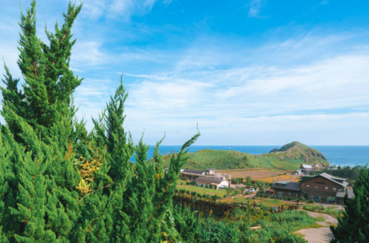 청송-가볼만한곳