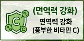 여주 효능