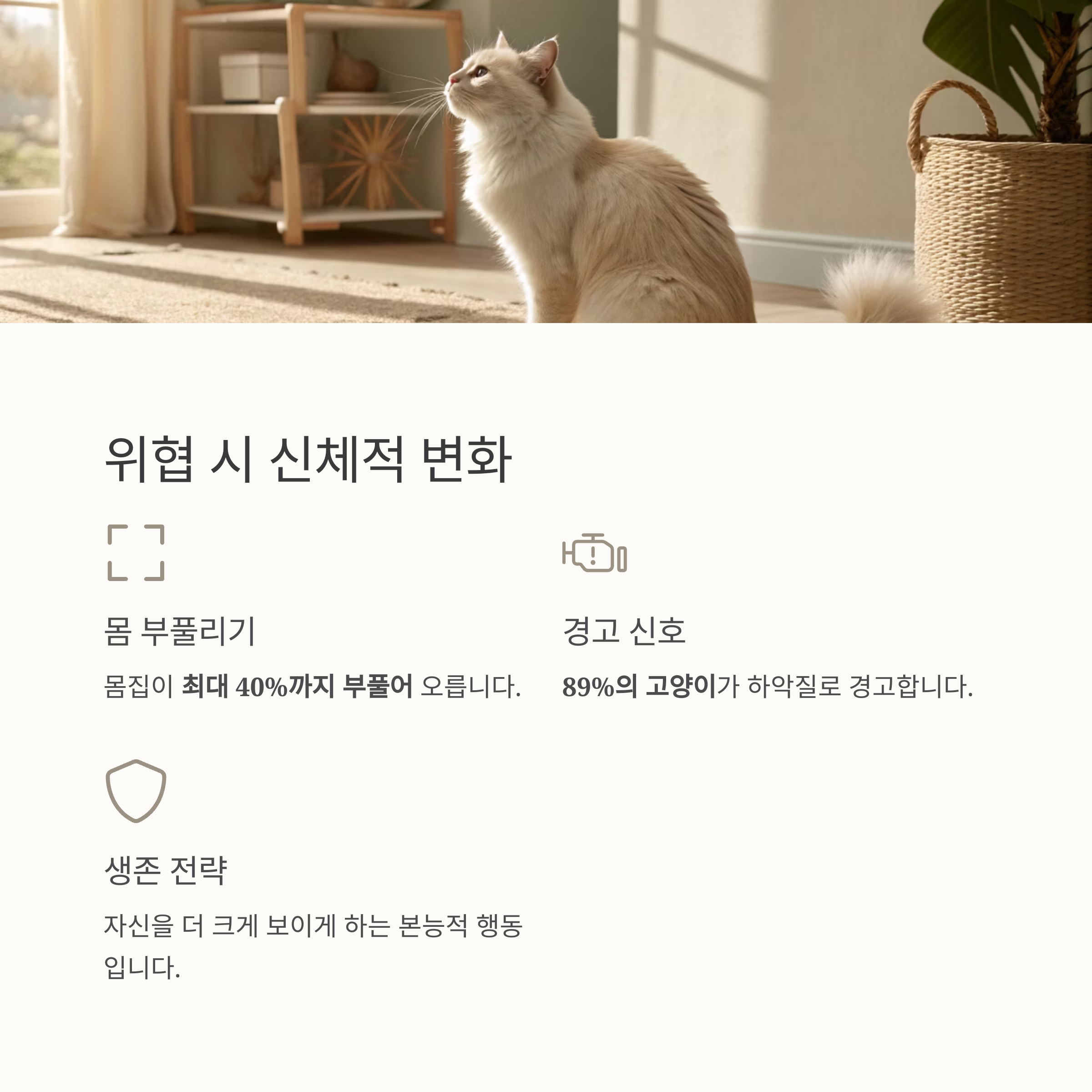 위협 시 신체적 변화