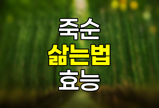 죽순 삶는 법 및 효능, 부작용 완벽 정리