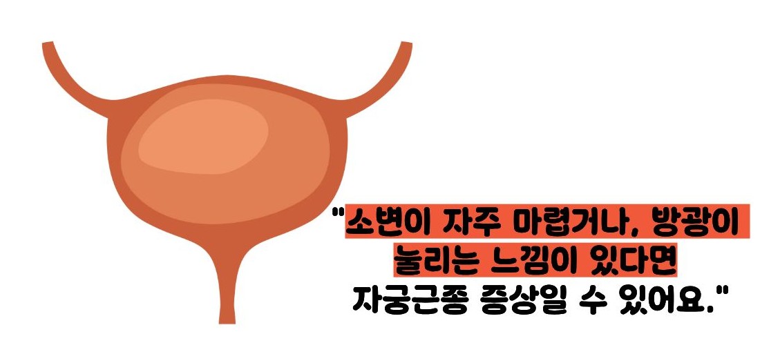 자궁근종 증상