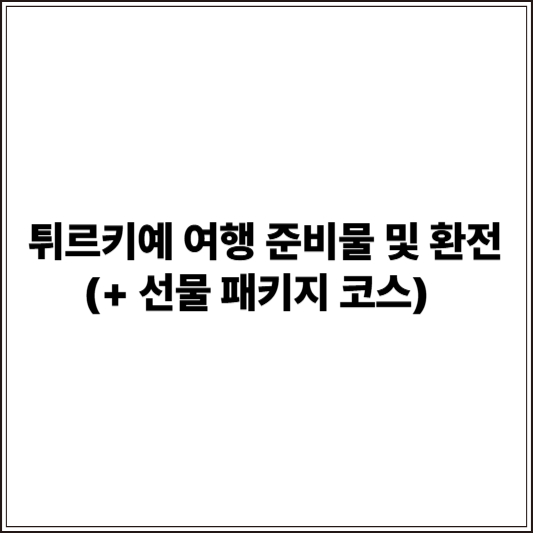 튀르키예 여행 준비물 및 환전 (+ 선물 패키지 코스)