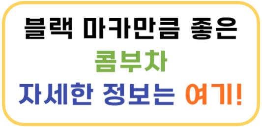 콤부차 효능