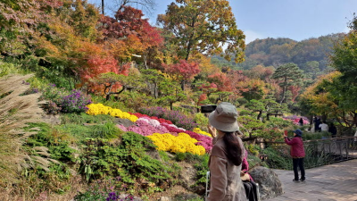 단풍명소_화담숲_하경정원