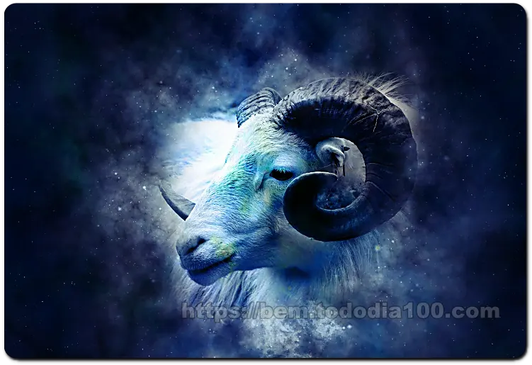 양자리운세-2024년운세-별자리운세