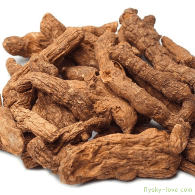 구수하고 은은한 둥글레