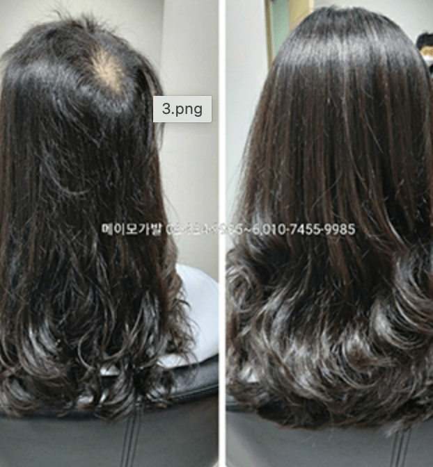 가발의여왕(메이모)