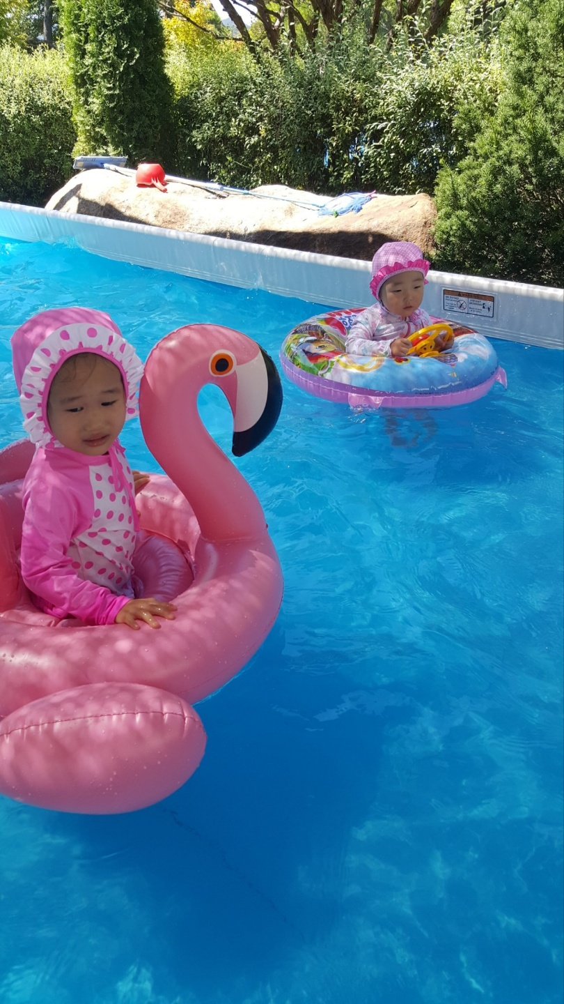 꿈에 그린 정원