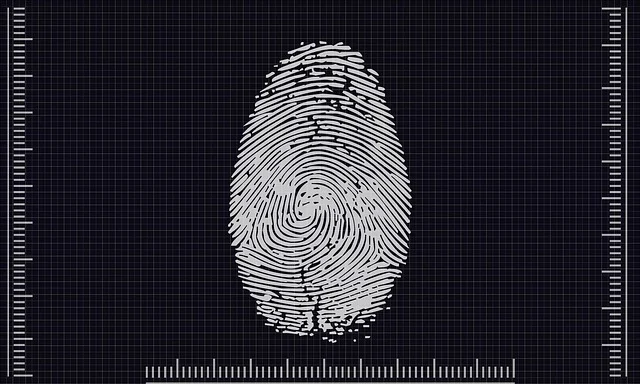 모바일운전면허증발급방법