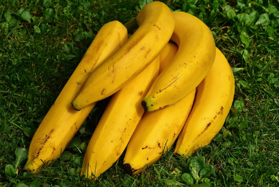 바나나칩 만드는 방법과 요리활용법