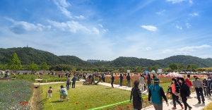 5월 강추 꽃 축제