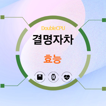 결명자차 효능 탐구