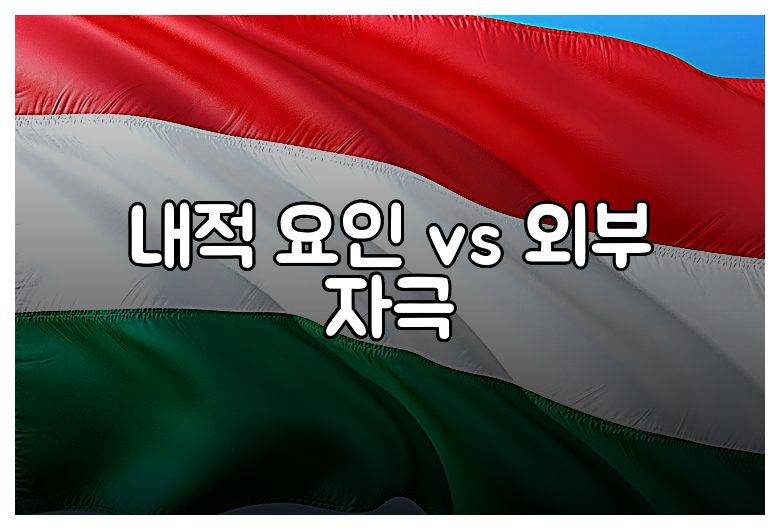 내적 요인 vs 외부 자극