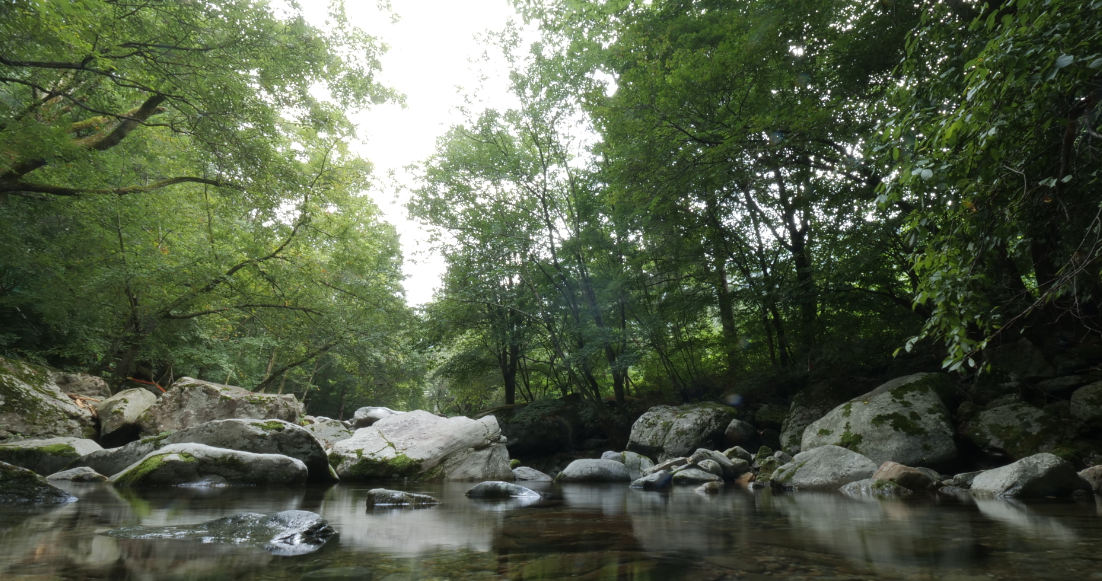 경기 계곡에서 캠핑, 명상하세요, 7~10월 계곡 체험프로그램 운영
