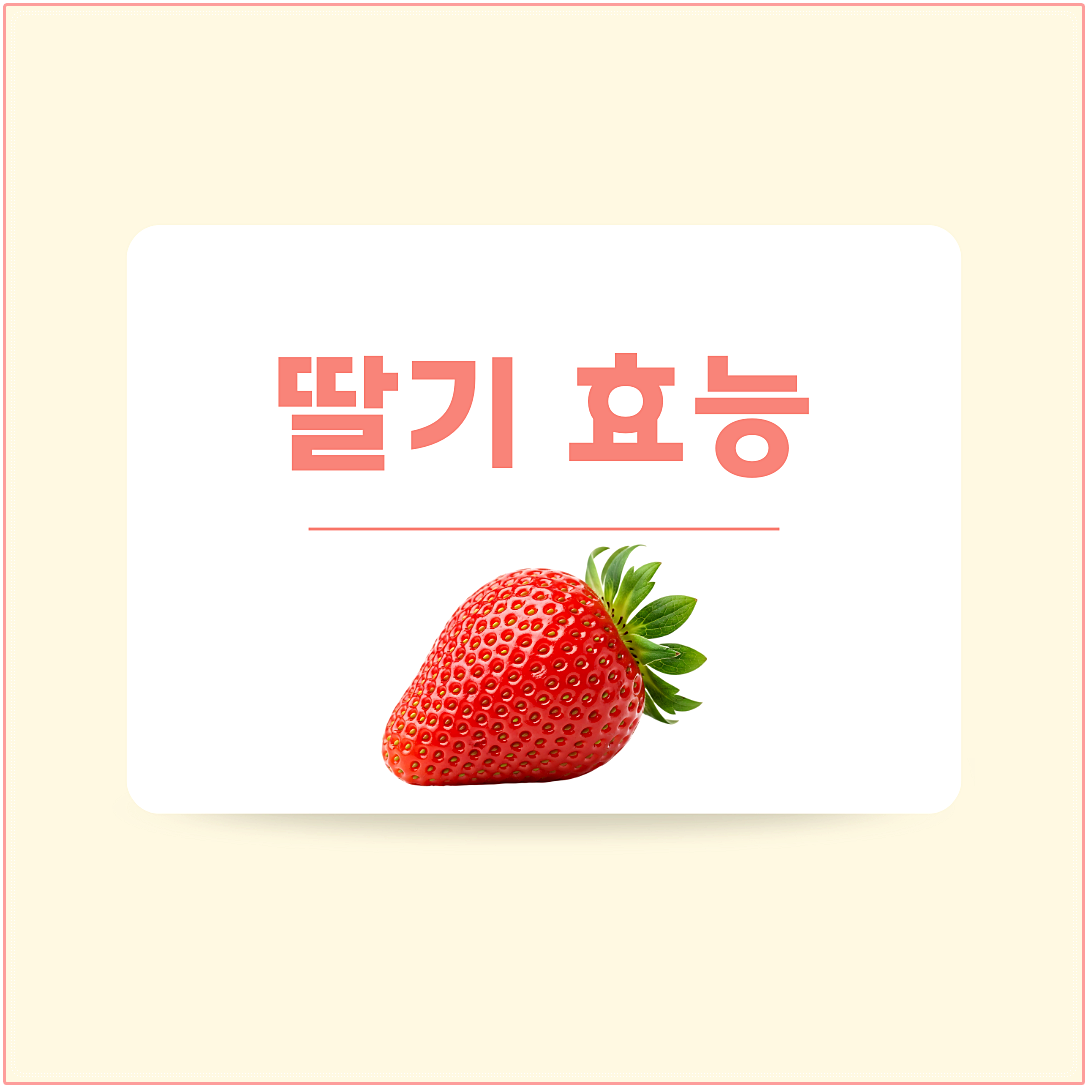 딸기 효능