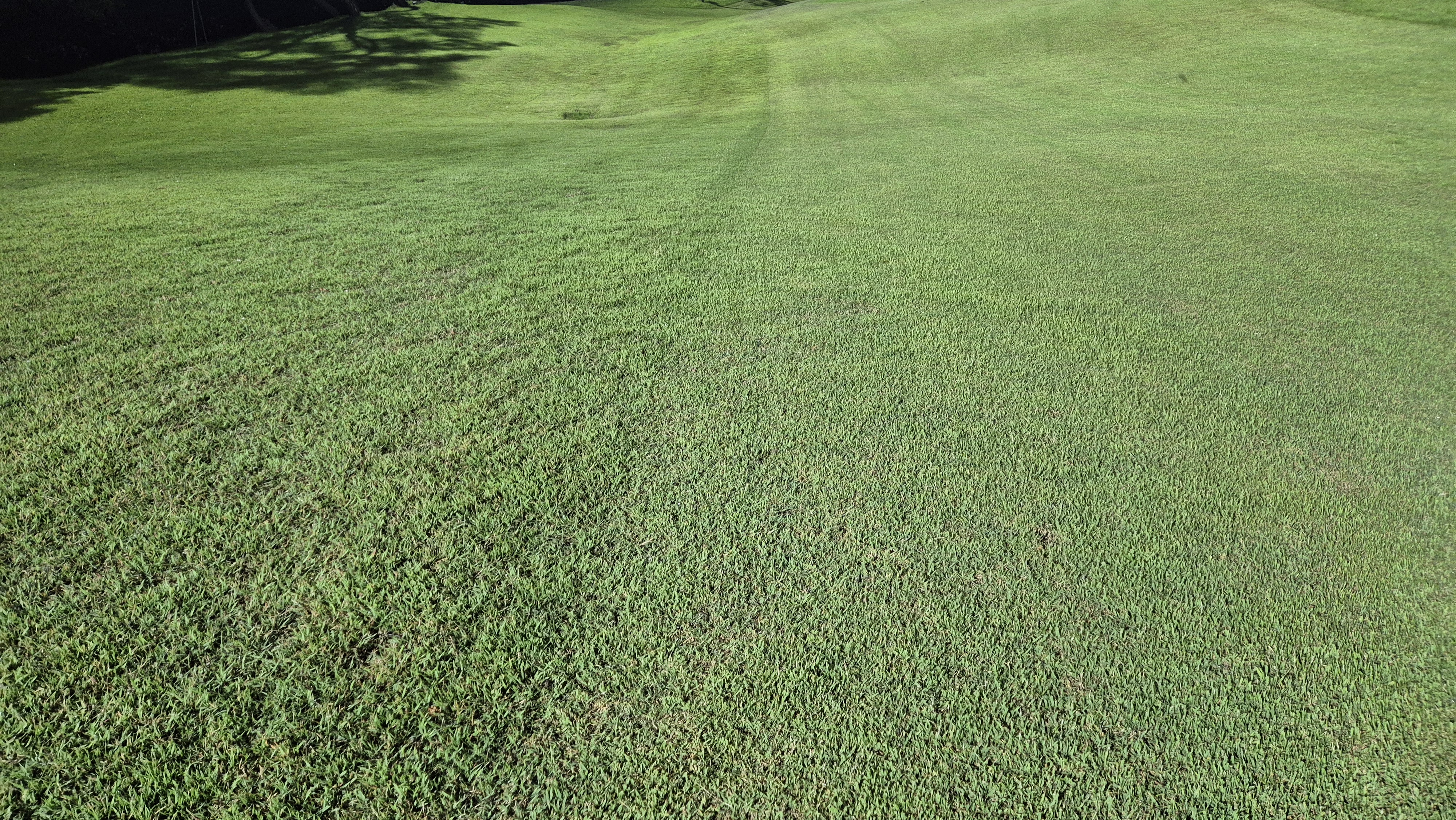 이포cc 라운드 후기