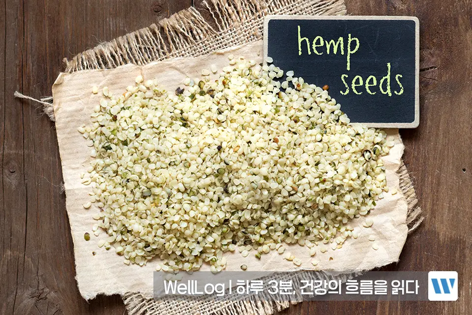 햄프씨드 효능 단백질 오메가3 항산화