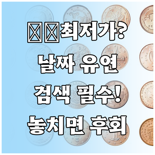 항공권 최저가를 위한 날짜 유연성 검..