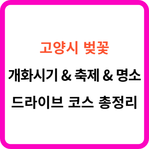 고양 벚꽃 축제 드라이브 코스 명소 를 한눈에! 썸네일