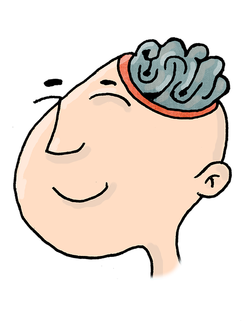 뇌의 미세환경에서의 신경 보호 메커니즘: 뇌내 염증과 신경 보호 기전